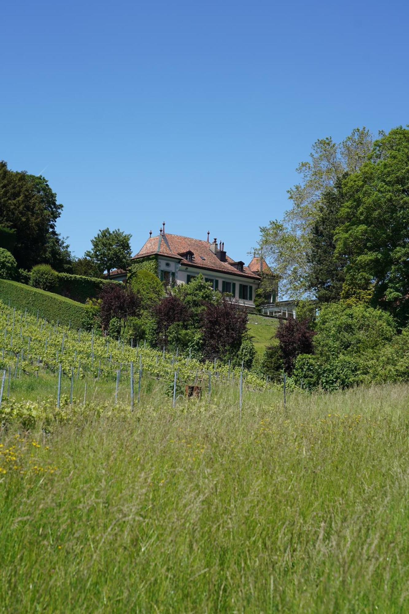 Le Chateau Lavigny Esterno foto